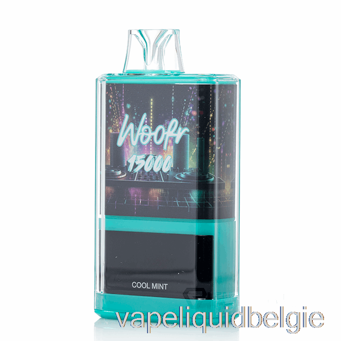 Vape Vloeistof Woofr 15000 Wegwerp Cool Mint